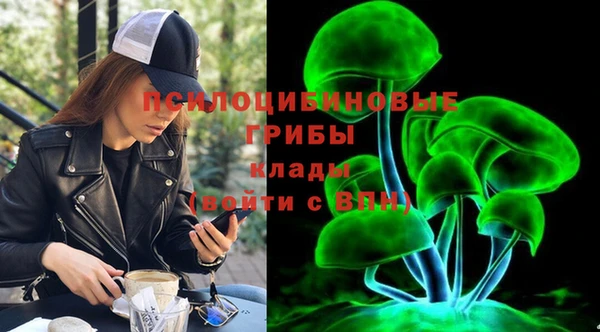 соль ск Алзамай