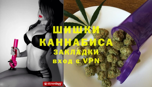 соль ск Алзамай