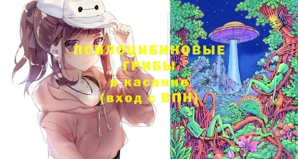 соль ск Алзамай